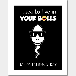 I Used To Live In Your Balls Funny Son Happy Father's Day Posters and Art